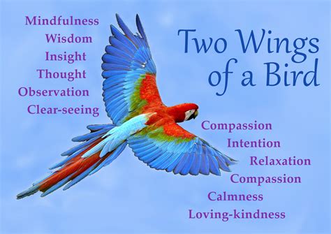 英语双翼腾飞课程