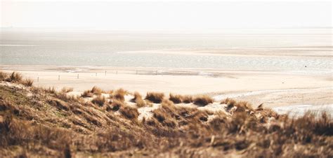 会计零基础入门精讲课程