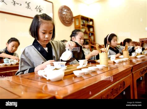 石家庄少儿机器人编程培训
