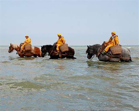 非遗文化冬令营