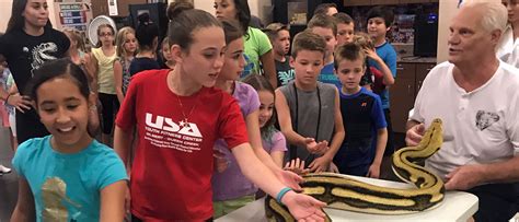 国庆节青少年夏令营