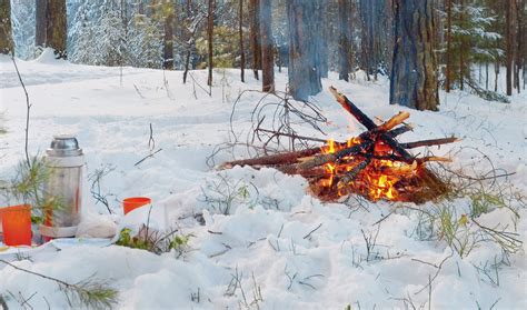 城市生存冬令营