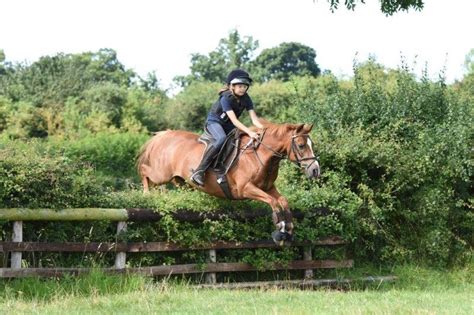 少年军事冬令营