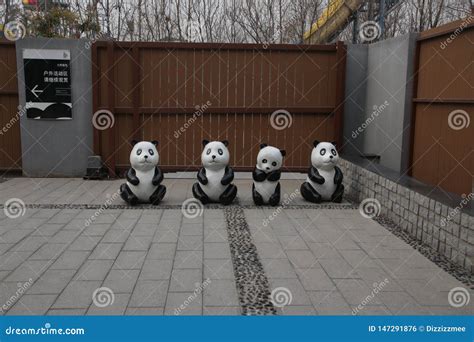 保定生命的绽放培训