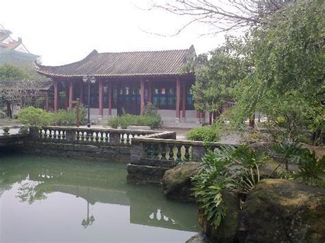 佛山少儿围棋线上培训