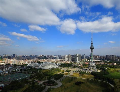 佛山围棋去哪里学