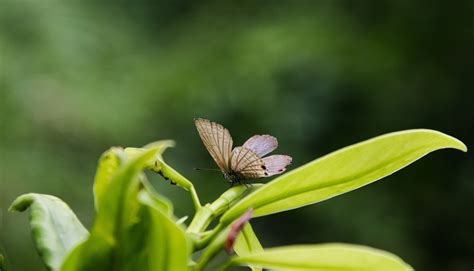 东莞出国语言教育英语训练营