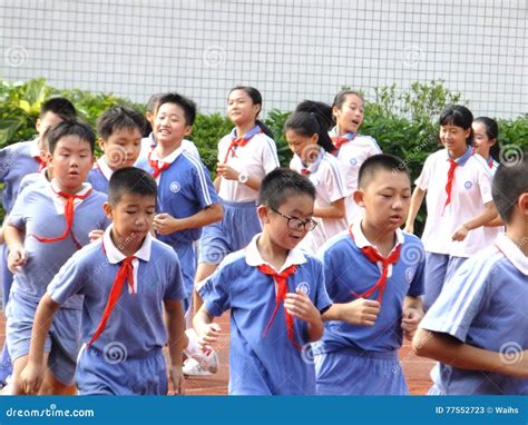 深圳托福预备基础班