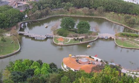 东莞浪漫法语入门VIP班