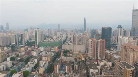 深圳新概念二培训（罗湖,宝安,福田区）