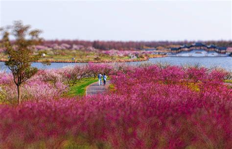 上海周末德语培训