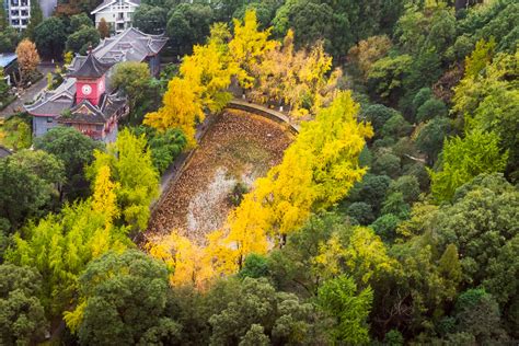 成都英语秋季培训班