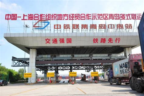 青岛外教少儿英语