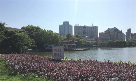 芜湖青少年英语培训班