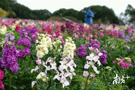 广州脱产托福VIP课程