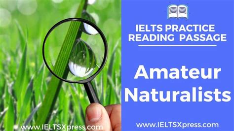 广州业余雅思精品VIP班（18人）