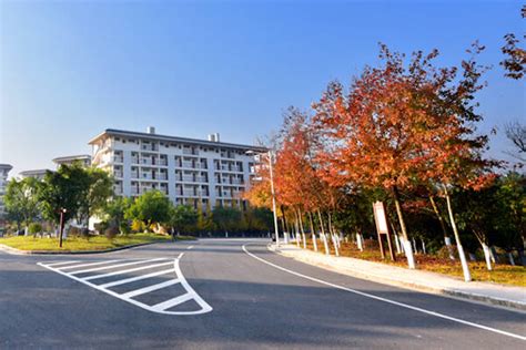 桂林考研数学培训机构