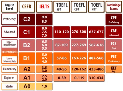 四六级英语课程
