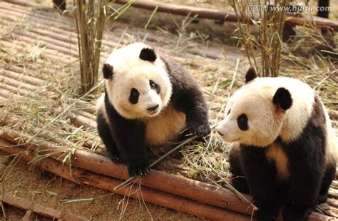 成都一对一演讲培训