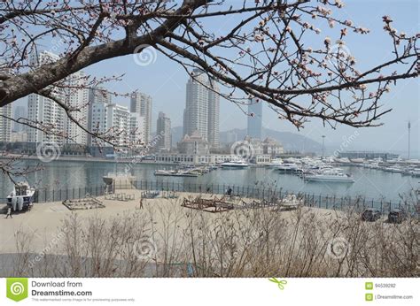 大连生命的绽放课程