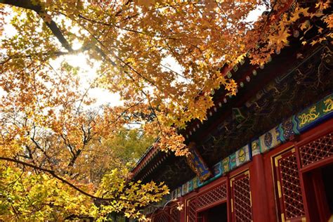 北京雅思秋季班