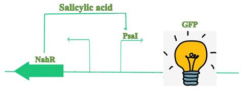 南京高压电工证培训