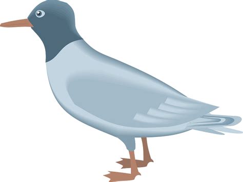 蓝鸥html5培训