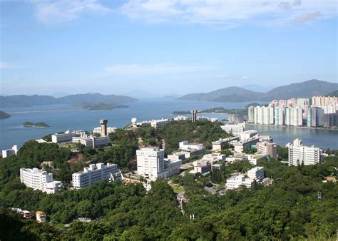 中大互联心理师培训