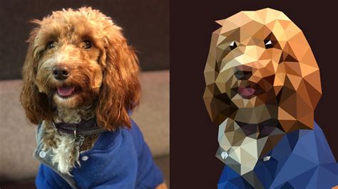 聚创聚英考研网课