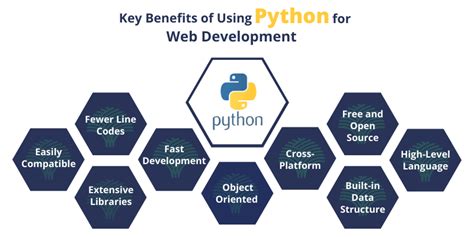 Python程序开发课程