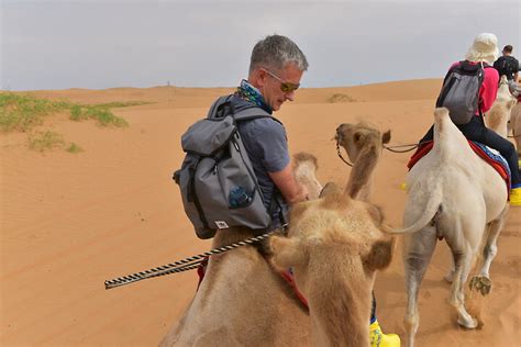 腾格里沙漠儿童夏令营
