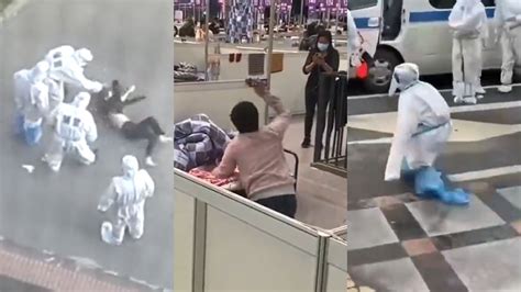 上海零基础法语培训班
