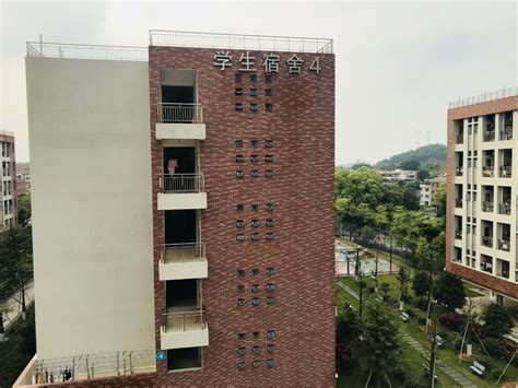 广州会计从业资格培训课程