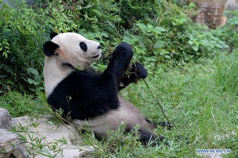 南昌美联青少年英语培训班