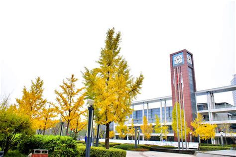 郑州哪家日语培训学校好