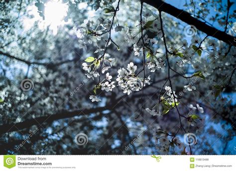 青岛樱之华日语培训班