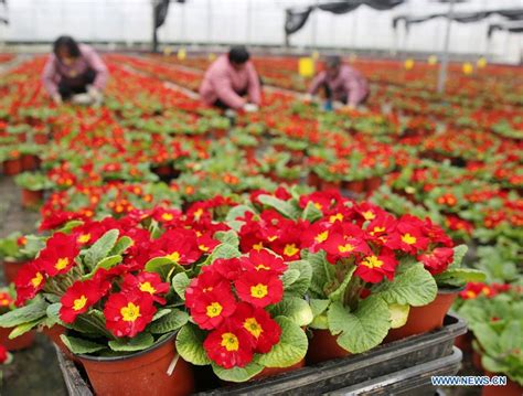 南通说服力销售培训机构