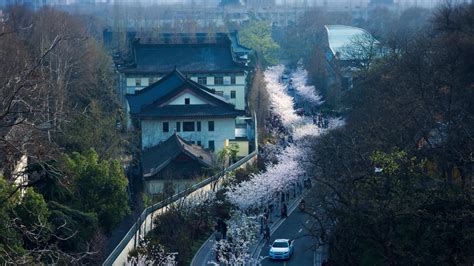 南京市美容培训学校