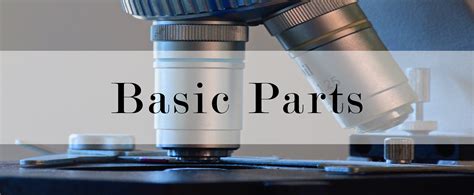 天津web前端基础培训学校