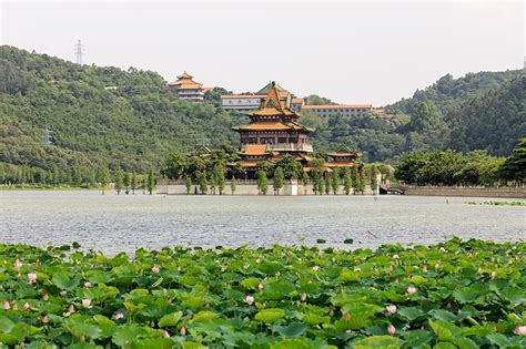 佛山日系美甲培训班