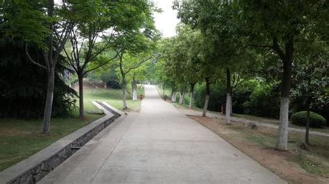 合肥会计做账培训