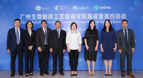 广州百越教育信息系统项目管理师培训