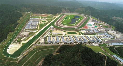 广州整理收纳师培训课程