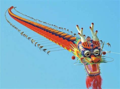 潍坊国际课程学习