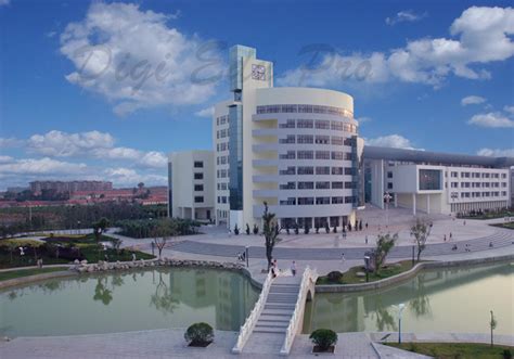 烟台生命的绽放培训班