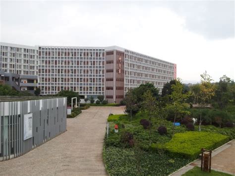 昆明新西兰中小学留学服务