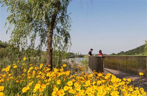 南京景观设计培训