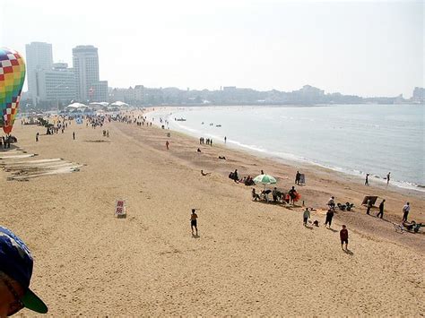 青岛启德日本本科留学中介