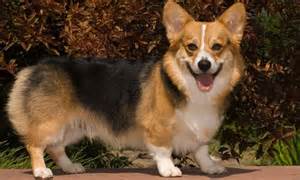 徐州盈利思维培训