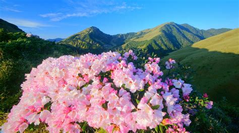 济宁新励成亲密关系科学培训